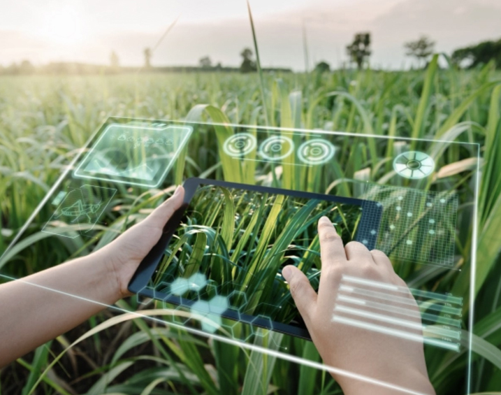 10 ways to leverage AI in agriculture