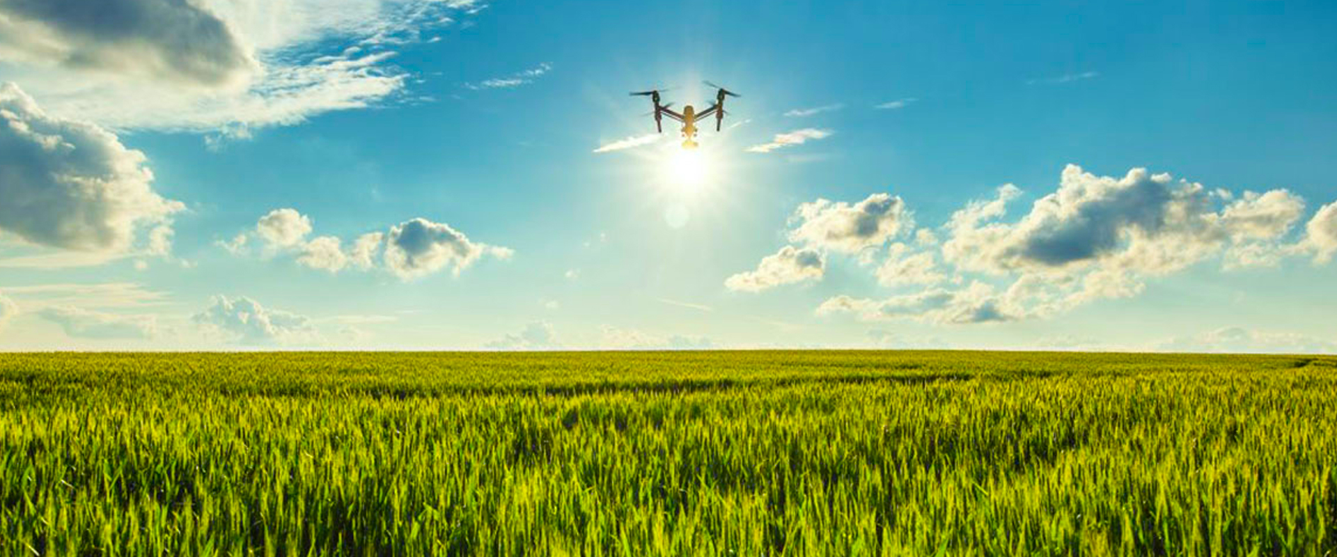 AI in Agriculture — The Future of Farming