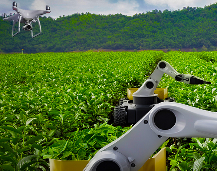 Collaborative robots, AI and machine vision boost agricultural and manufacturing capabilities