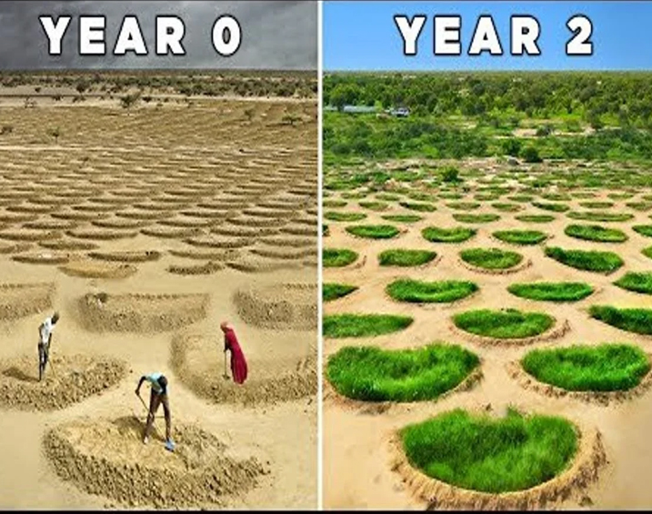 Forgotten water harvesting system transforms 'barren wasteland' into thriving farmland