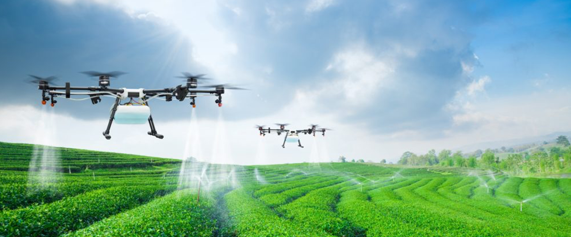 Precision Agriculture: Benefits and Challenges for Technology Adoption and Use